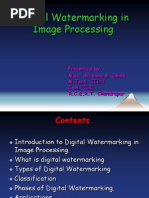 Digital Water Mark 2-9