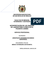 Interpretacion de Los Analisis de Laboratorio Clinico en El Paciente Canino