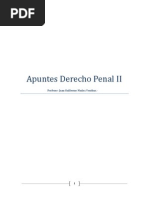 Apuntes Derecho Penal II