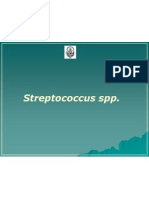 Streptococcus