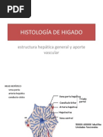 Histología de Higado