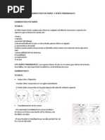 Examen Fisico de Nariz y Senos Paranasales