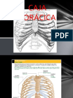 Respi Caja Toracica