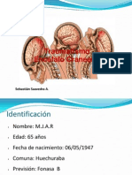 Traumatismo Encéfalo Craneano