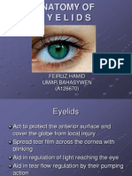 Anatomy of Eyelids