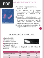 Vibrio Parahaemolyticus