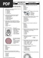 Soal UH Jaringan Tumbuhan Tipe 1