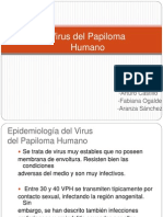 Virus Papiloma Humano