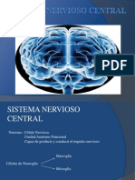 Sistema Nervioso Central y Periferico