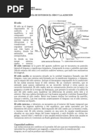 Guia de Estudio Oído