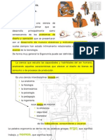 Tema 1 - Generalidades 2009