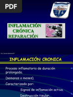 Inflamacion Cronica - Reparacion