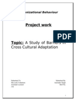 Project Work: Cross Cultural Adaptation