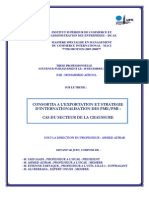 Consortia A L'exportation Et Strategie D'internationalisation Des Pme/pmi: Cas Du Secteur de La Chaussure