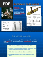 DIAPOSITIVASCELULA4ESO