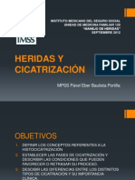 Heridas y Cicatrización