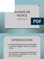 Planos de Hodge