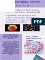 Desarrollo Prenatal