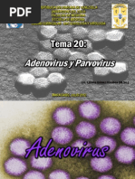 TEMA 20 Adenovirus y Parvovirus