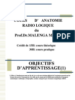 Anatomie Radiologique 2