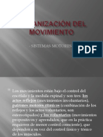 Organización Del Movimiento