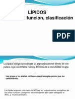 Estructura y Clasificación de Lípidos 1