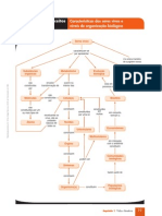 Mapa Conceitos Bio