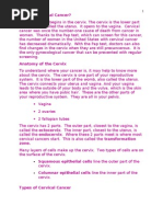 Cervical Cancer - Pt. Info Final