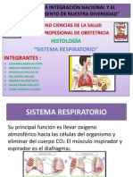 Sistema Respiratorio Diapositivas