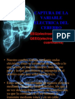 Captura de La Variable Electrica Del Cerebro