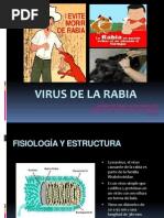 Virus de La Rabia