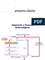 Rompimiento - Celular - Introduccion Separación y Procesos Biotecnológicos