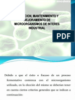 Seleccion, Mantenimiento y Mejoramiento de Microorganismos de Interes Industrial