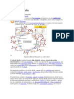 Ciclo de Krebs