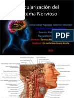 Vascularizacion Del Snc.