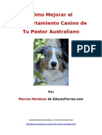 Como Mejorar El Comportamiento Canino de Tu Pastor Australiano