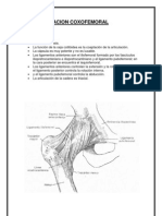 Articulacion Coxofemoral