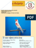 Revista PDF