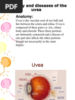 Anatomy and Diseases of The Uvea