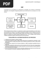 Apuntes Del Curso de Erp - DR Carlos Wong Lau