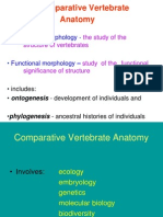 2 - Comparative Vertebrate Anatomy