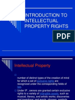 Introduction To Intellectual Property Rights