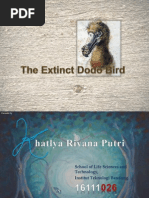 The Extinct Dodo Bird