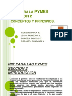 Niif Pymes Seccion2