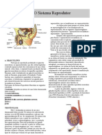 Anatomia - Apostila - Sistema Reprodutor