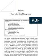 Enterprise Risk Management