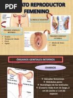 Aparato Reproductor Masculino y Femenino, y Herencia