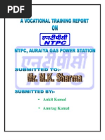 Final Report - NTPC