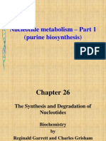 Nucleotide Metabolism - Part 1 (Purine Biosynthesis)