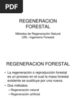 Regeneracion Forestal